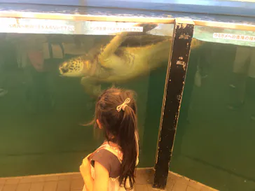 越前松島水族館に投稿された画像（2026/8/4）