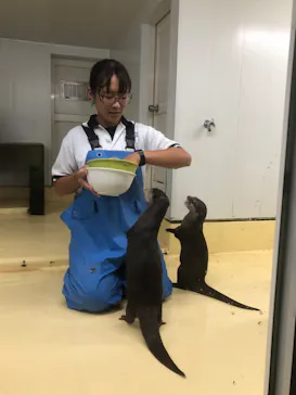 越前松島水族館に投稿された画像（2026/8/4）