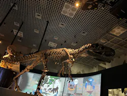 国立科学博物館に投稿された画像（2026/8/4）