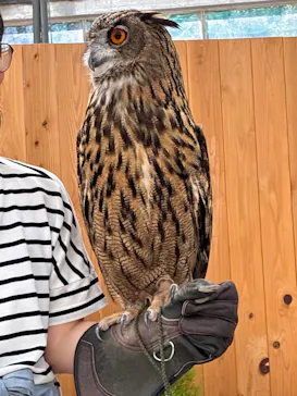 掛川花鳥園に投稿された画像（2026/8/4）