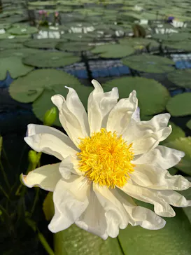 掛川花鳥園に投稿された画像（2026/8/4）