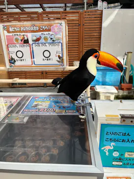 掛川花鳥園に投稿された画像（2026/8/4）
