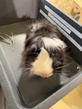 Moff animal cafe イオンモール幕張新都心店に投稿された画像（2026/8/4）