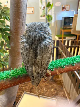 Moff animal cafe イオンモール幕張新都心店に投稿された画像（2026/8/4）