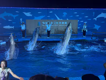 仙台うみの杜水族館に投稿された画像（2026/8/4）