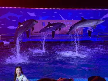 仙台うみの杜水族館に投稿された画像（2026/8/4）