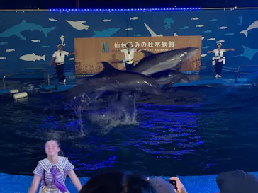 仙台うみの杜水族館に投稿された画像（2026/8/4）