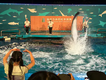 仙台うみの杜水族館に投稿された画像（2026/8/4）