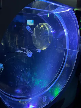 名古屋港水族館に投稿された画像（2026/8/4）