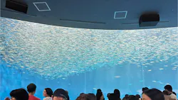 名古屋港水族館に投稿された画像（2026/8/4）