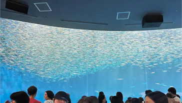 名古屋港水族館に投稿された画像（2026/8/4）