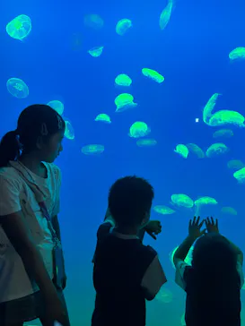 大分マリーンパレス水族館 「うみたまご」に投稿された画像（2026/8/4）
