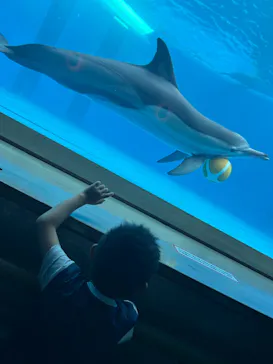 大分マリーンパレス水族館 「うみたまご」に投稿された画像（2026/8/4）