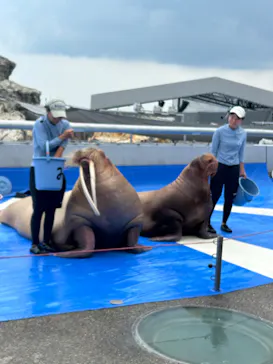 大分マリーンパレス水族館 「うみたまご」に投稿された画像（2026/8/4）