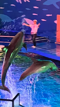 仙台うみの杜水族館に投稿された画像（2026/8/4）
