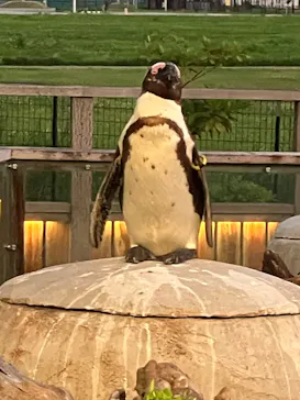 仙台うみの杜水族館に投稿された画像（2026/8/4）