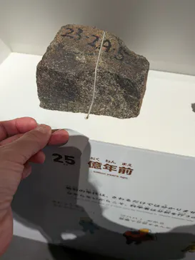 大南極展に投稿された画像（2026/8/4）