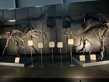 ヨコハマ恐竜展２０２６～恐竜の食卓大図鑑～に投稿された画像（2026/8/4）