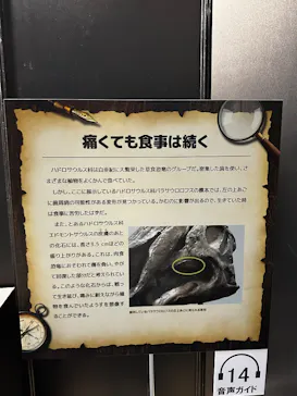 ヨコハマ恐竜展２０２６～恐竜の食卓大図鑑～に投稿された画像（2026/8/4）