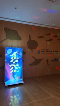 仙台うみの杜水族館に投稿された画像（2026/8/4）