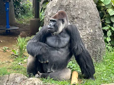 千葉市動物公園に投稿された画像（2026/8/4）
