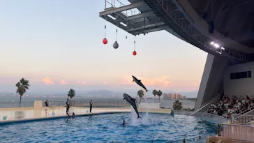 マリンワールド海の中道に投稿された画像（2026/8/4）