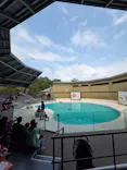 みやじマリン宮島水族館に投稿された画像（2026/8/5）
