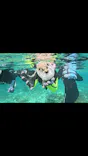 武藤潜水に投稿された画像（2026/8/5）
