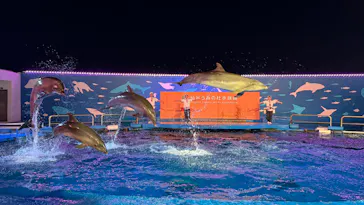 仙台うみの杜水族館に投稿された画像（2026/8/5）