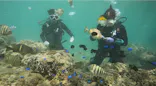武藤潜水に投稿された画像（2026/8/5）
