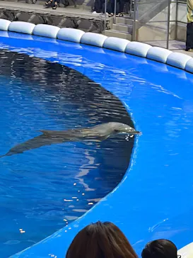 仙台うみの杜水族館に投稿された画像（2026/8/5）