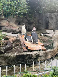 サンシャイン水族館に投稿された画像（2026/8/5）