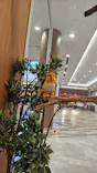 Moff animal cafe イオンモール名取店に投稿された画像（2026/8/5）