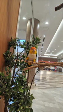 Moff animal cafe イオンモール名取店に投稿された画像（2026/8/5）