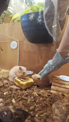 Moff animal cafe イオンモール名取店に投稿された画像（2026/8/5）