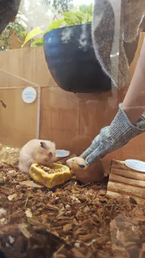 Moff animal cafe イオンモール名取店に投稿された画像（2026/8/5）