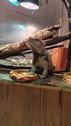 Moff animal cafe イオンモール名取店に投稿された画像（2026/8/5）