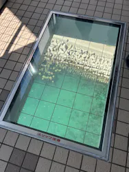 徳島県立 渦の道に投稿された画像（2026/8/5）