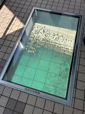 徳島県立 渦の道に投稿された画像（2026/8/5）