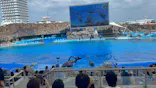名古屋港水族館に投稿された画像（2026/8/5）