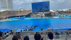 名古屋港水族館に投稿された画像（2026/8/5）