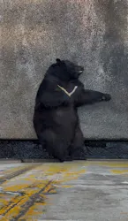 奥飛騨クマ牧場に投稿された画像（2026/8/5）