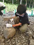 福井県立恐竜博物館に投稿された画像（2026/8/5）