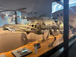 福井県立恐竜博物館に投稿された画像（2026/8/5）