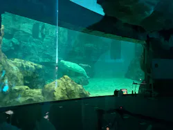 名古屋港水族館に投稿された画像（2026/8/5）