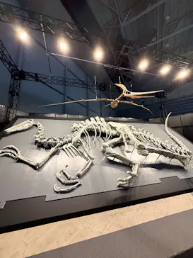 ヨコハマ恐竜展２０２６～恐竜の食卓大図鑑～に投稿された画像（2026/8/5）