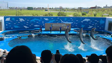 仙台うみの杜水族館に投稿された画像（2026/8/5）