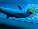 上越市立水族博物館 うみがたりに投稿された画像（2026/8/5）