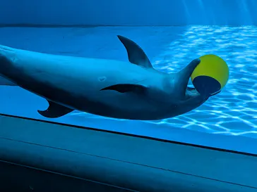 上越市立水族博物館 うみがたりに投稿された画像（2026/8/5）