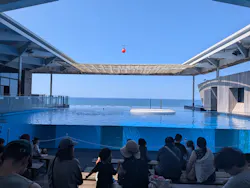 上越市立水族博物館 うみがたりに投稿された画像（2026/8/5）
